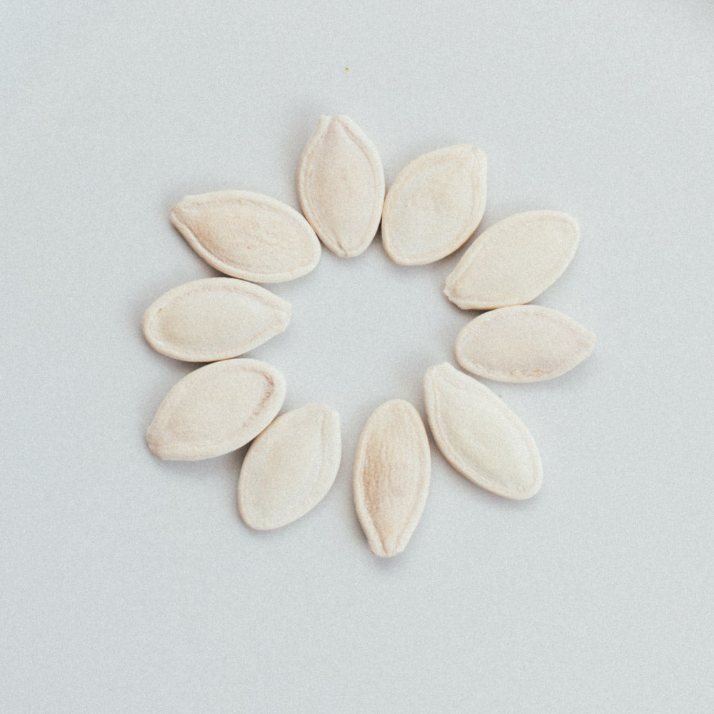Semi di Zucca Lisci