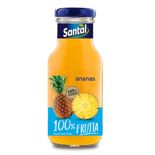 Santal Ananas 100% Parmalat 250ml 24pz